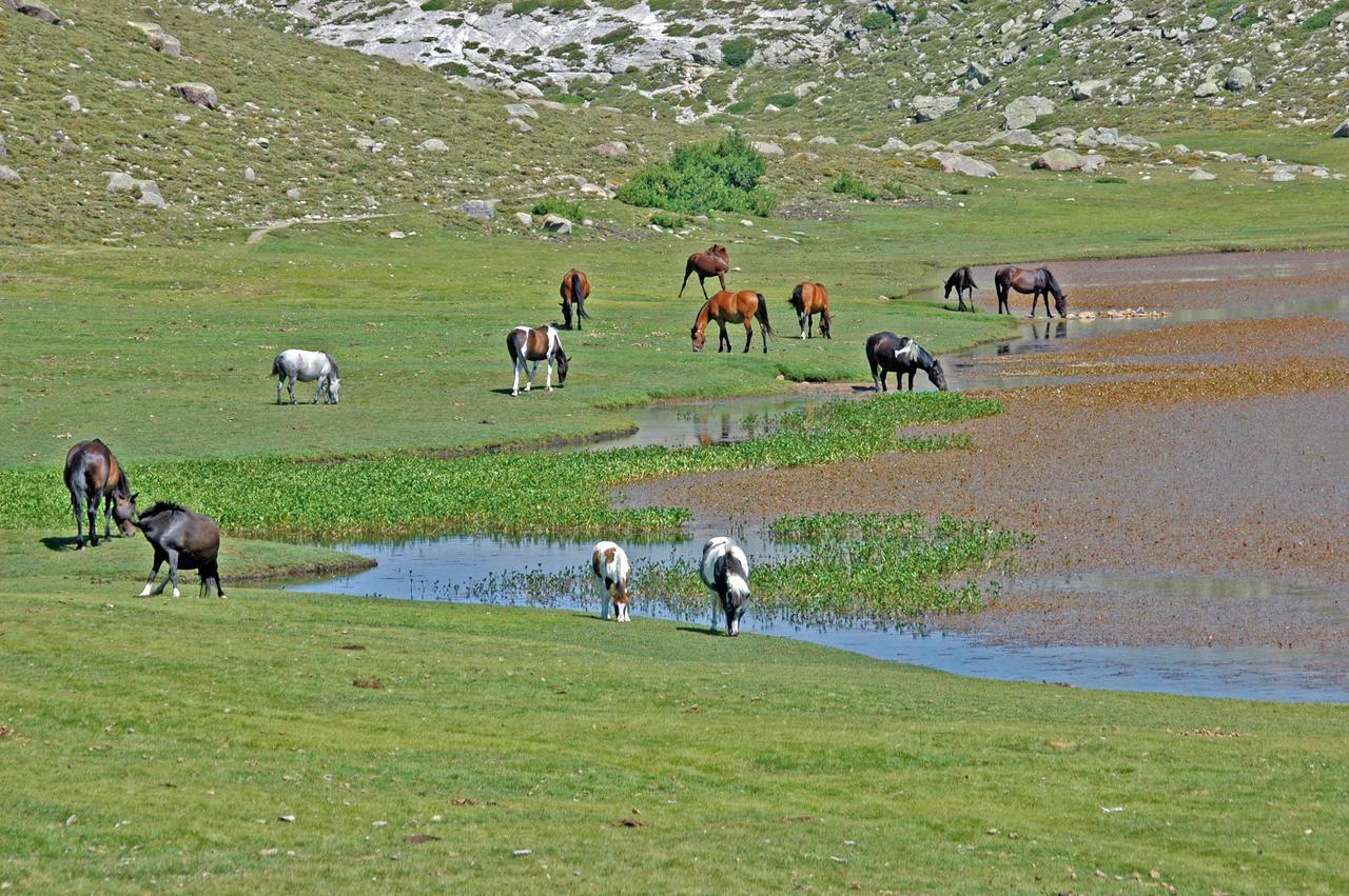 Castel De Vergio Otel Albertacce Dış mekan fotoğraf