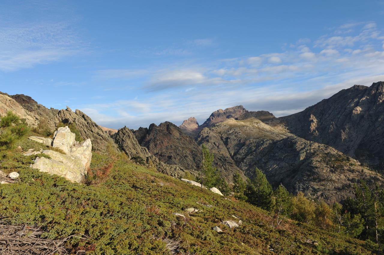 Castel De Vergio Albertacce Dış mekan fotoğraf