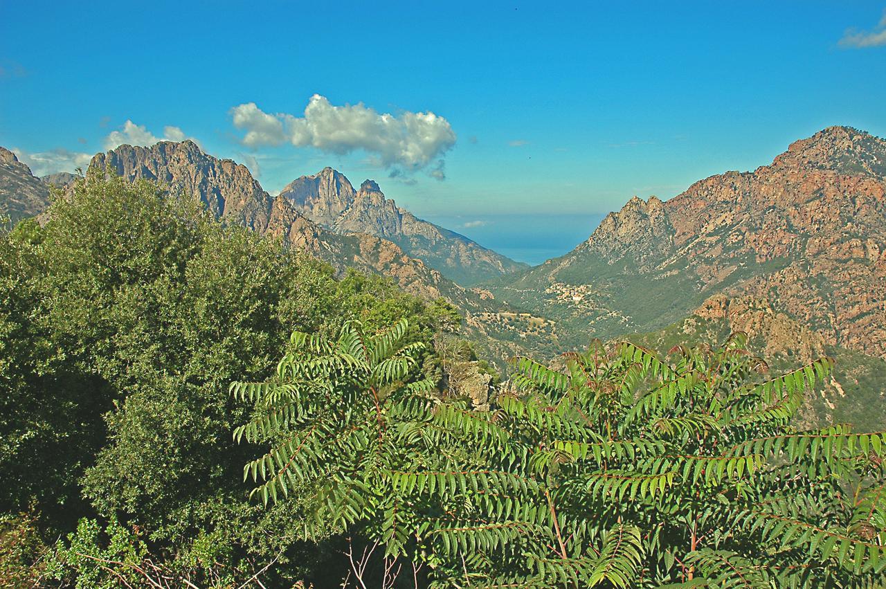 Castel De Vergio Albertacce Dış mekan fotoğraf