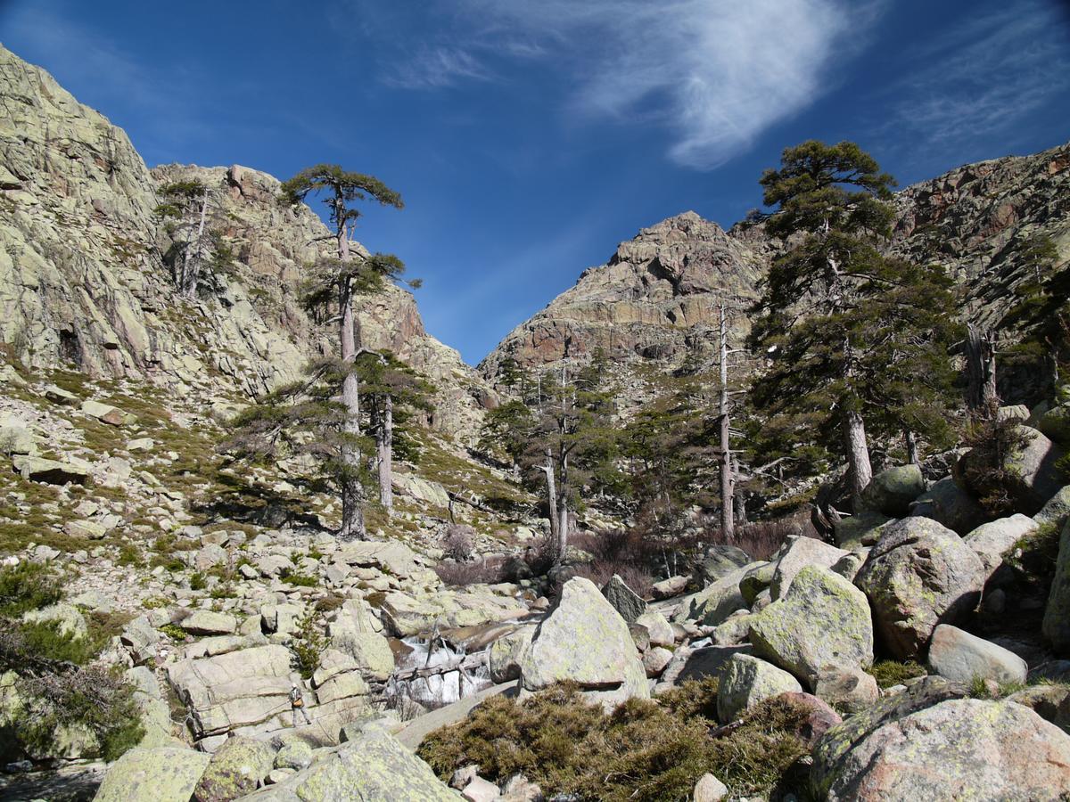 Castel De Vergio Otel Albertacce Dış mekan fotoğraf