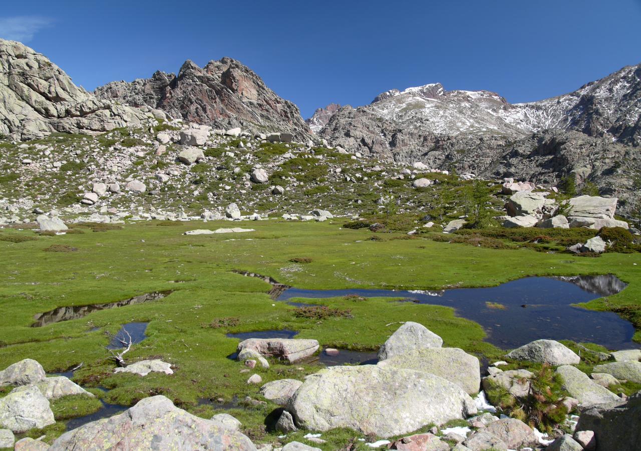 Castel De Vergio Albertacce Dış mekan fotoğraf